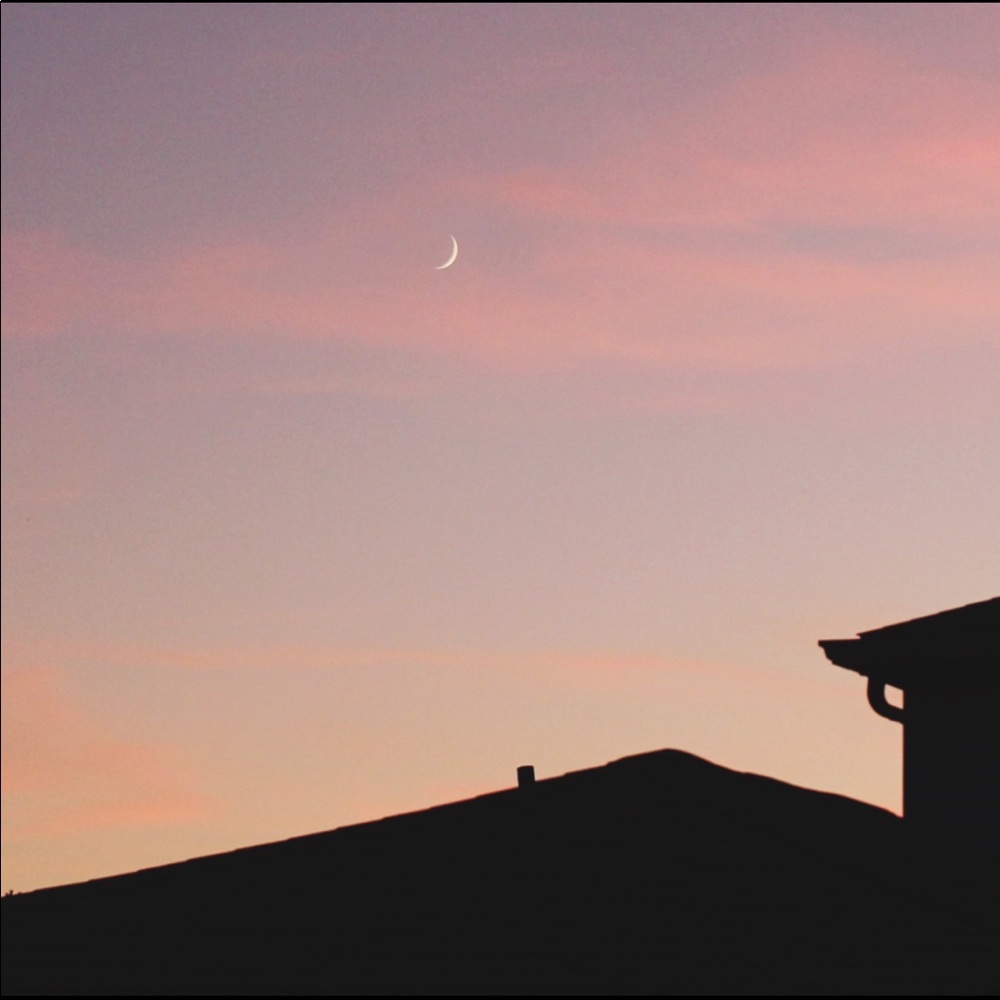 Meet your Posher, Hasannie